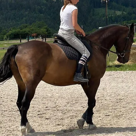 Jurtovna 럭셔리텐트 *