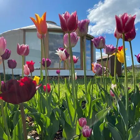 Jurtovna 럭셔리텐트 베로운