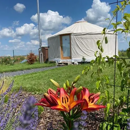 Luxury tent Jurtovna